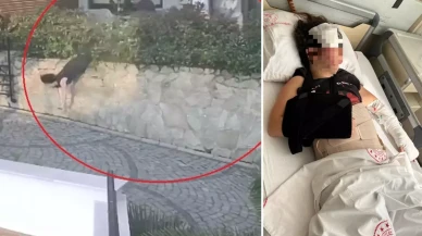 Komşu kavgası: Doktorun ittiği kadın ölümden döndü