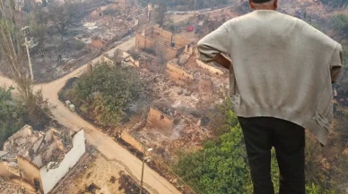 Sakarya'dan Bilecik'e sıçrayan yangında köy kül oldu, görüntüler korkunç