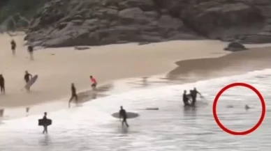 16 yaşındaki genci yumruklarla köpek balığından kurtardı