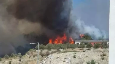 Alevler tehlikeli boyutta: Hatay'daki yangında tahliyeler başladı!