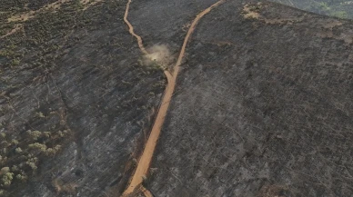 Bakan açıkladı: 3 İl'deki orman yangınları kontrol altında