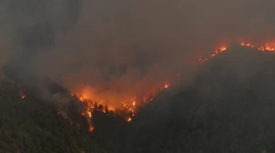 Sakarya-Bilecik orman yangınında son durum! Alev hortumu oluştu