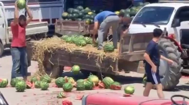 Karpuz parçalayan iki üretici yandı! Fahiş ceza yolda