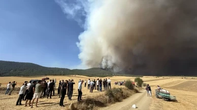 Sakarya’daki orman yangını Bilecik’e sıçradı!
