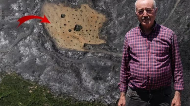 Ödemiş'te şaşırtan görüntü! Bir tek Ahmet Türk'ün arsası yanmadı