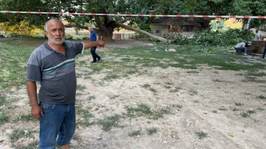 Kırılan ağaç dalı aynı aileden 11 kişiyi hastanelik etti