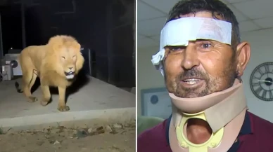 Aslan saldırısında yaralanan çiftçi taburcu edildi: Boğazıma sarıldı ben de onu gırtlakladım