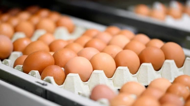 Bu marka yumurtaları sakın tüketmeyin! Satışı durduruldu