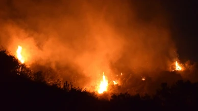 Turgutlu'daki yangına tutuklama! Meğer kene görmüş...