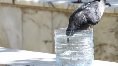 Meteoroloji duyurdu aşırı sıcaklar geri geldi 14 Temmuz haftası hava kavrulacak