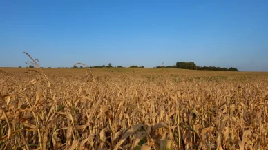 Türkiye son 52 yılın en kurak dönemini yaşıyor!