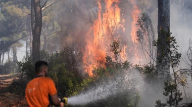 Buca'daki orman yangınına tutuklama! Benzin dökerek...