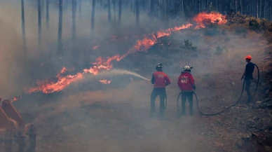 Türkiye, orman yangınlarıyla mücadelede lider oldu!