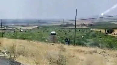 Karpuz tarlası sahibi karşılaştığı manzara karşısında şoke oldu