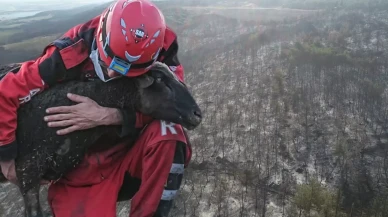 Tekirdağ'daki orman yangını ikinci günde kontrol altına alındı