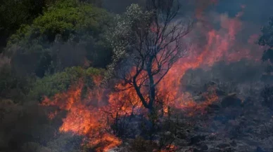 İzmir’de orman yangınları büyüyor: 3 köy boşaltıldı, 1 kişi hayatını kaybetti!