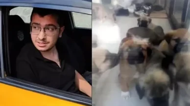 Köpekleri istismar edip öldürmekle suçlanan doktor: Zevk olarak evde yaptığım şeyler