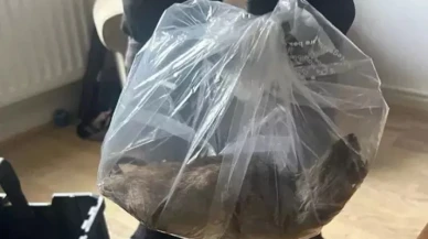 Evin içerisinde yakalanan fare tam 55 santimetre! Görenler şok oldu