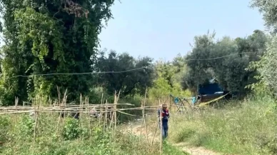 Aydın’da çiftçi tarlasında ölü bulundu: Yaban domuzu şüphesi