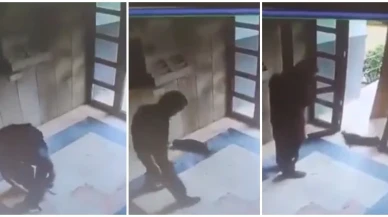 Başakşehir’de kediye işkence eden şahıs tutuklandı: “Uyuyamıyorum”