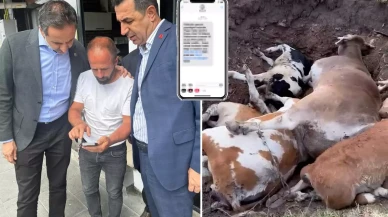 CHP'li Özgür Erdem İncesu'dan bomba iddia: Şap aşısının parasını istiyorlar