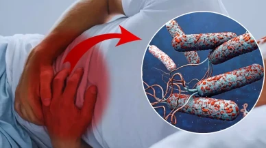 31 ülkede alarm! Ölümler her geçen saat hızla artıyor