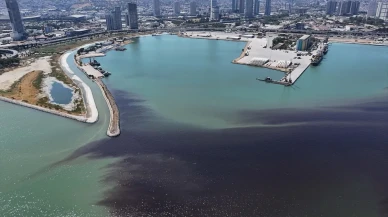 İzmir Körfezi’nde balık ölümleri artıyor: Koku kenti sardı