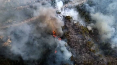 Karabük ve Denizli’de orman yangınları devam ediyor