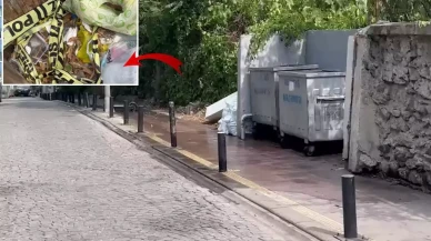 İstanbul'da çöpte yanmış bebek cesedi bulundu