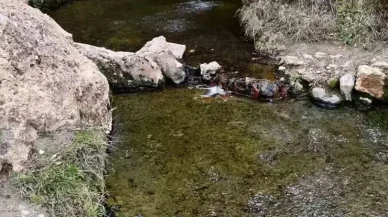 "Şifalı su" denilen  suya giren yaşlı çift yaşamını yitirdi!