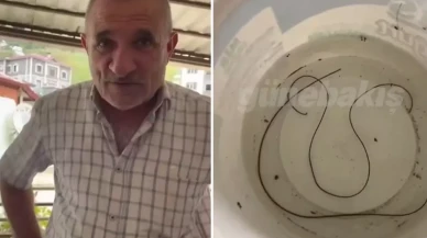 Suyun içinden çıkan cismi gören vatandaş şaşkına döndü: Hareket ediyor bu