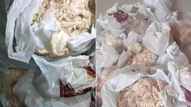 Elazığ'da skandal! Yemek şirketinde küflenmiş tavuk eti ele geçirildi!