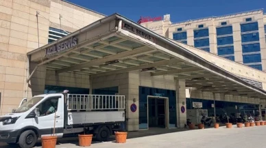 Siirt’te ceviz toplarken feci şekilde can verdi