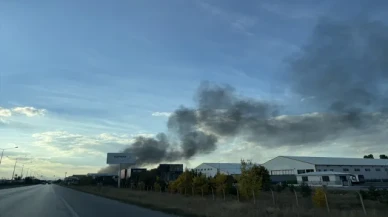 Gana, Nükleer Silahların Yasaklanması Anlaşması’nı Onayladı