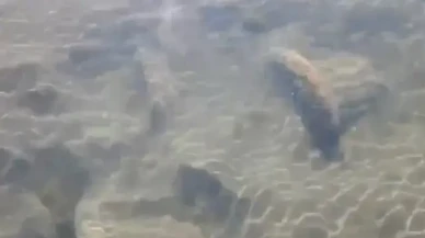 Su seviyesi azalan İznik Gölü'nde tarihi sütun başlıkları bulundu