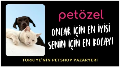 Petözel: Türkiye’nin Güvenilir ve Kapsamlı Online Petshop Sitesi