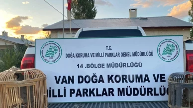 Van’da kaçak keklik avına rekor ceza