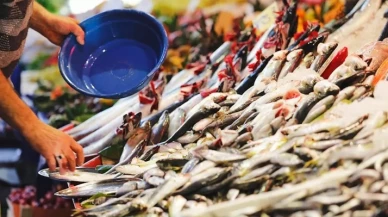 Balık tüketicisini korkutan açıklama! Hamsi, palamut, lüfer hangisi daha vahim?