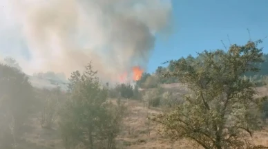 Karabük Ovacık’ta yangın: Alevler ormana sıçradı