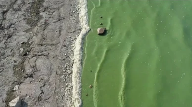 İstanbul'un göbeğinde korkutan manzara: Sebebini kimse öğrenemedi