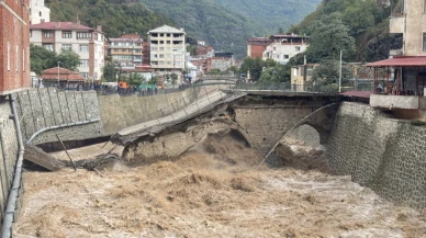 Artvin Borçka’da sel tarihi köprüyü yıktı