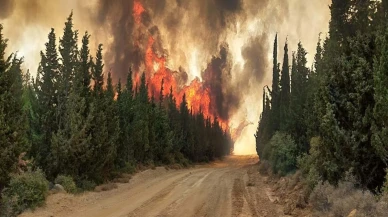 Çanakkale’de orman yangınlarına karşı yeni önlemler!