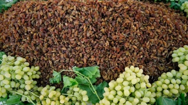 TMO’dan çekirdeksiz kuru üzüm için alım fiyatı açıklaması