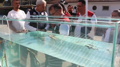 Kilosu bin euro! Bolu'da üretilip dünya pazarına sunulacak