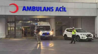 Kayseri’de köpek saldırısına uğrayan kadın hayatını kaybetti