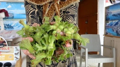 TMO Fiyatı 200 Lira, Üretici Tezgahta 300 Liradan Satıyor