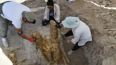 Keçi çobanı ihbar etmişti yetkililer kazdı! 7,7 milyon yıllık 3 fil kafatası bulundu