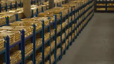 Dünyanın en büyük kasası! 60 ülkenin altınları burada tutuluyor