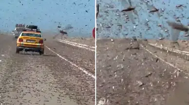 Afrika’nın batısında çekirge istilası: Görüş mesafesi düştü