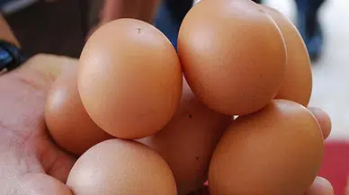 Yumurta satışında yeni dönem: Haftalık üst sınır 2 bin 100 adet